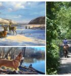 Cornwall Library Art Exhibition