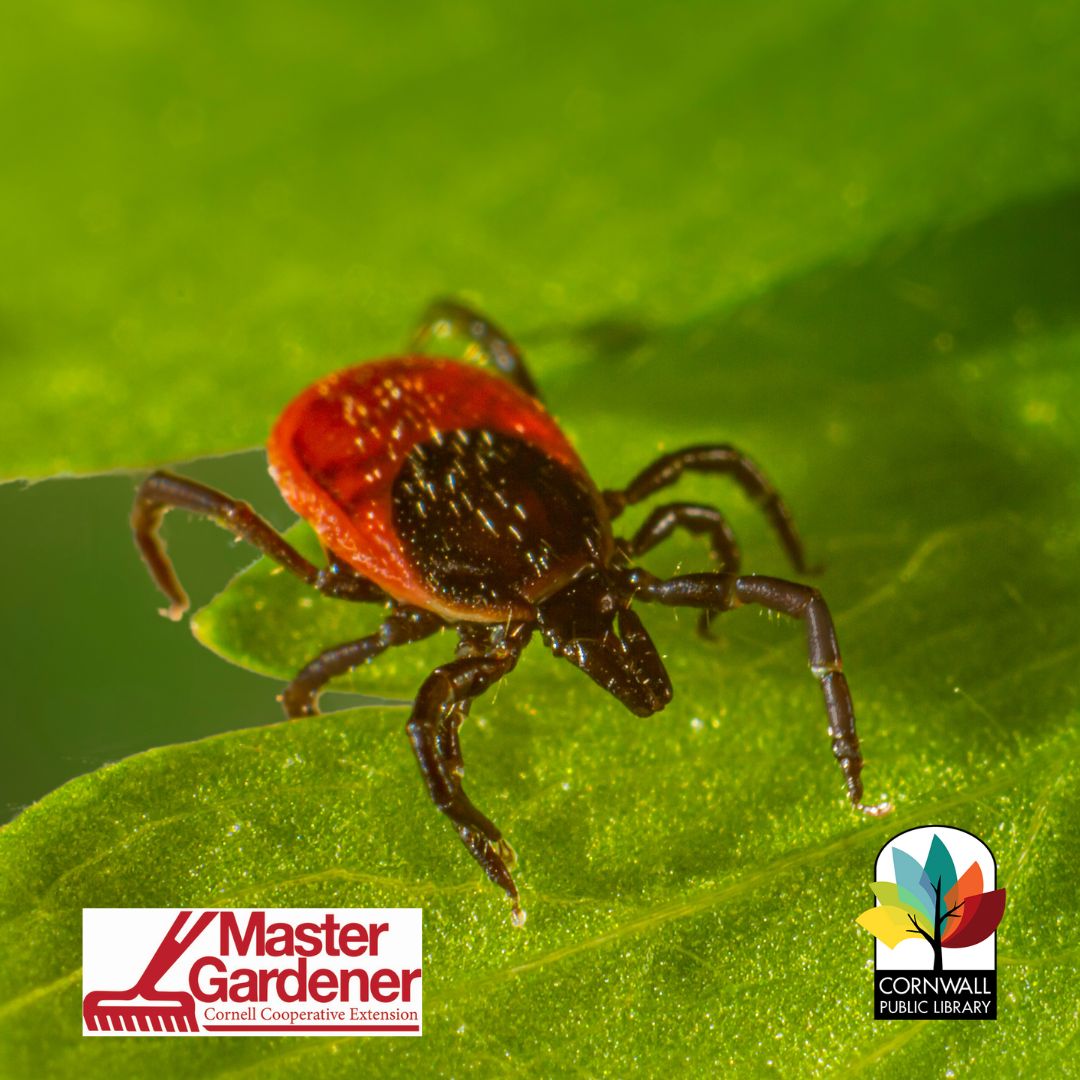 Protect Your Family From Ticks & Tick-Borne Diseases!