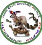 Eyes of the Wild on July 28