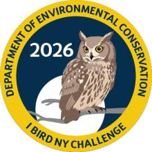 2026 I Bird NY Challenge